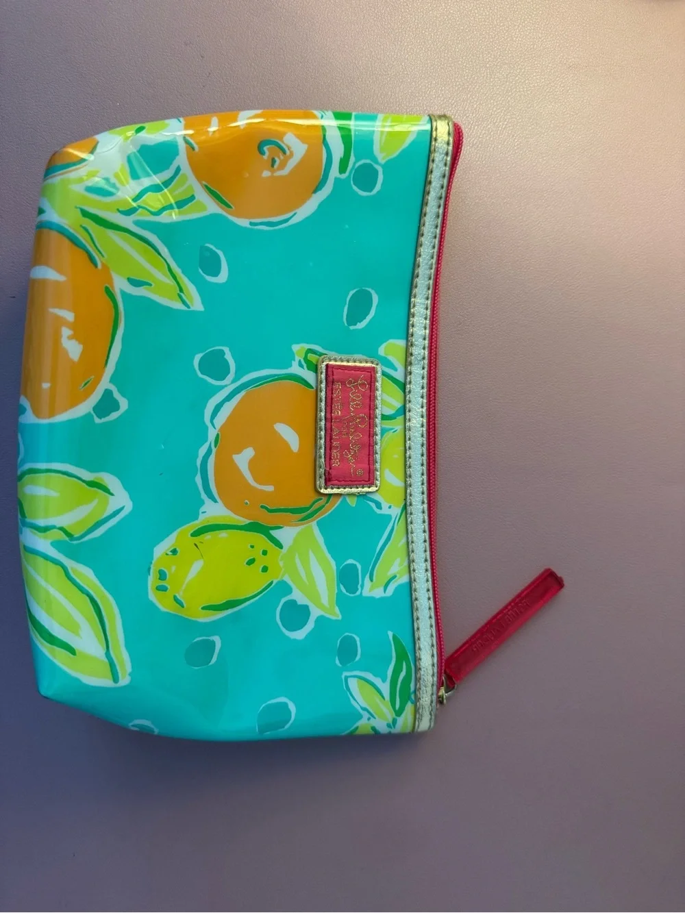 Lilly Pulitzer Teal Citrus Zip Pouch with Pink Trim